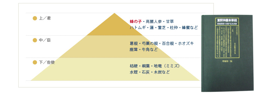 2200年の歴史を持つミツバチの子