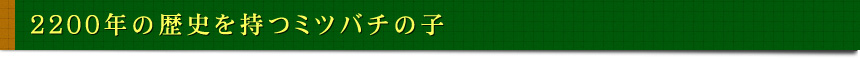 2200年の歴史を持つミツバチの子