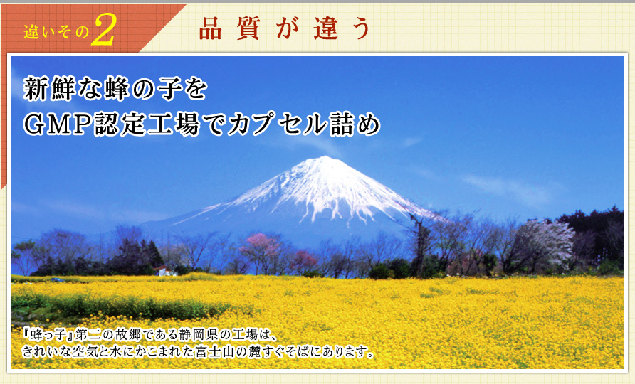 違いその2．品質が違う 新鮮な蜂の子をGMP認定向上でカプセル詰め