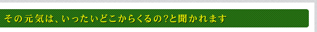 その元気は、いったいどこからくるの？と聞かれます