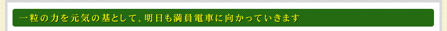 一粒の力を元気の基として、明日も満員電車に向かっていきます