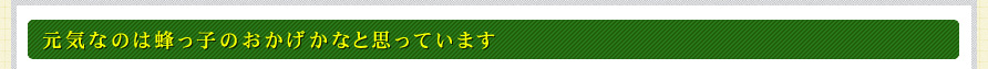 元気なのは蜂っ子のおかげかなと思っています