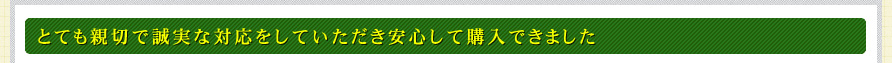 とても親切で誠実な対応をしていただき安心して購入できました