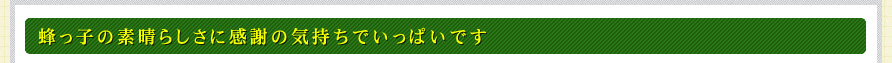 蜂っ子の素晴らしさに感謝の気持ちでいっぱいです